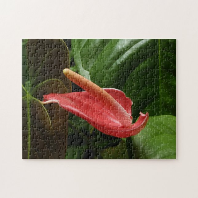 Rosa Calla Lily Elegant Blommigt Pussel (Horisontell)