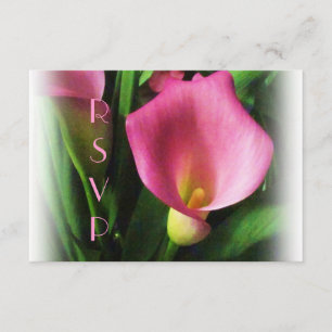 Rosa Calla Lily OSA kort