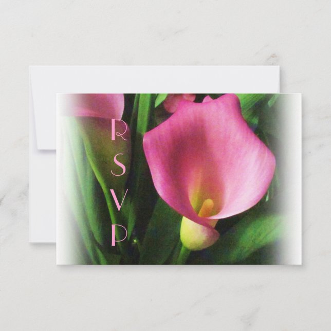 Rosa Calla Lily OSA kort (Framsida)