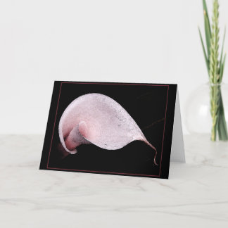 ROSA CALLA NOTECARD/BLANK KORT