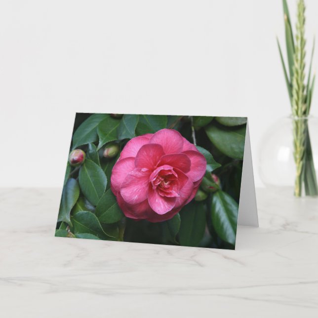 "Rosa Camellia # 1" Kort (Framsida)