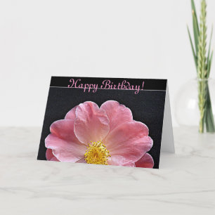 Rosa Camellia-blomman, födelsedagskort Kort