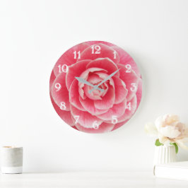 Rosa Camellia Blommande Blomma Stor Klocka