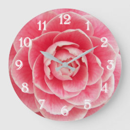 Rosa Camellia Blommande Blomma Stor Klocka