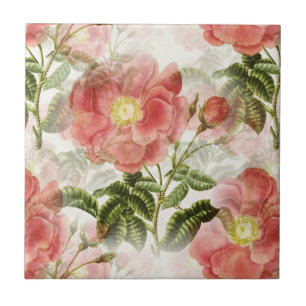 Rosa Camellia Blommönster Kakelplatta