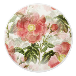 Rosa Camellia Blommönster Knopp