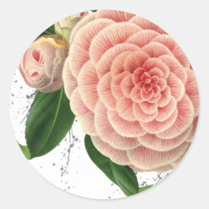 Rosa Camellia Enkue Seal Stickers Runt Klistermärke