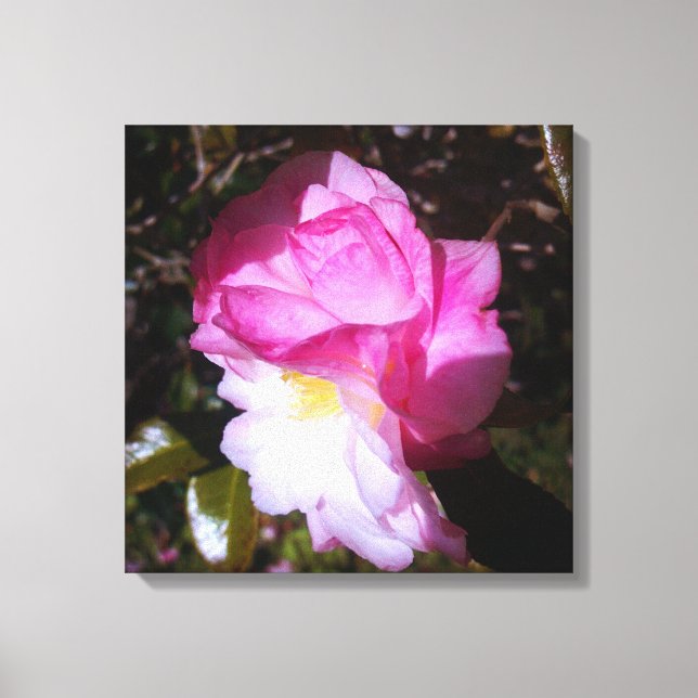 Rosa Camellia Färg Canvas Wall Decor (Framsida)