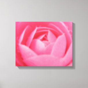 Rosa Camellia Flower Kanvastryck