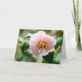 Rosa Camellia Flower Note Kort