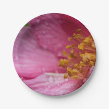 Rosa Camellia Flower Stamens