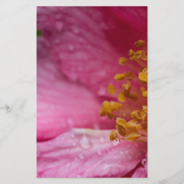 Rosa Camellia Flower Stamens Brevpapper