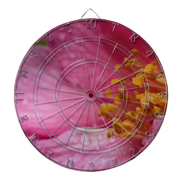 Rosa Camellia Flower Stamens Darttavla (Framsidan)