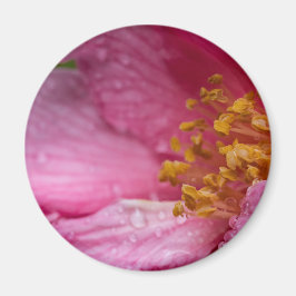 Rosa Camellia Flower Stamens Magnet