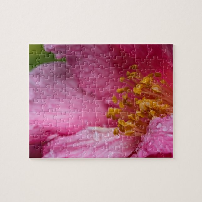 Rosa Camellia Flower Stamens Pussel (Horisontell)