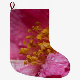 Rosa Camellia Flower Stamens Stor Julstrumpa