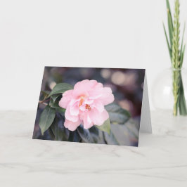 Rosa Camellia Japonica Note Card Kort