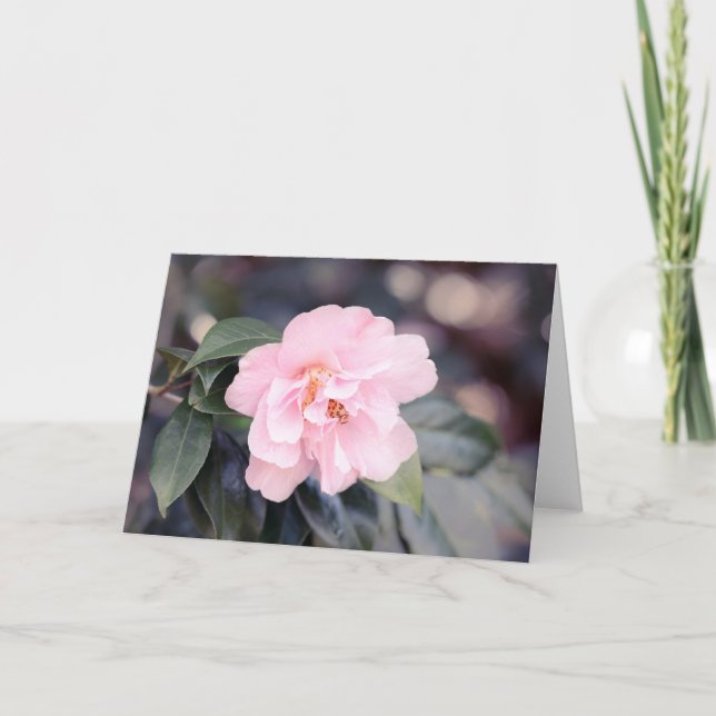 Rosa Camellia Japonica Note Card Kort (Framsida)