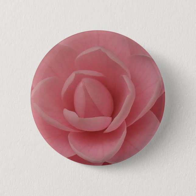 Rosa Camellia Knapp (Framsida)