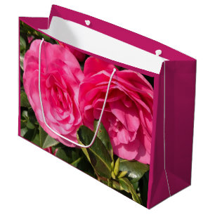 Rosa Camellia Large Sized