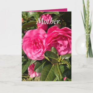 Rosa Camellia Mors dag Helgkort