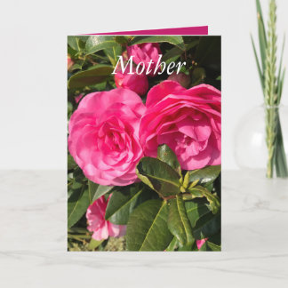 Rosa Camellia Mors dag Helgkort