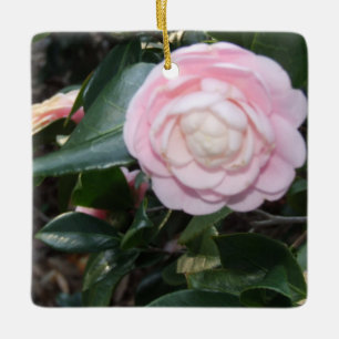 Rosa Camellia Ornament