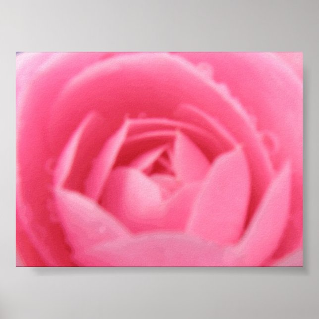 Rosa Camellia Skriv ut Poster (Framsidan)