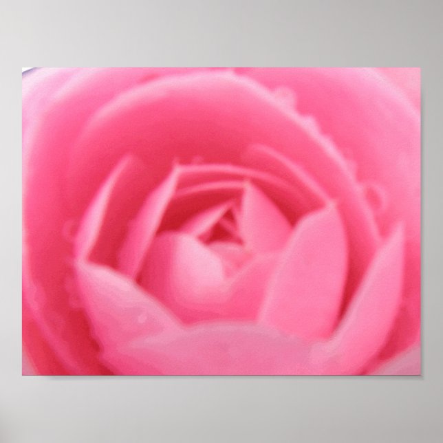Rosa Camellia Skriv ut Poster (Framsidan)