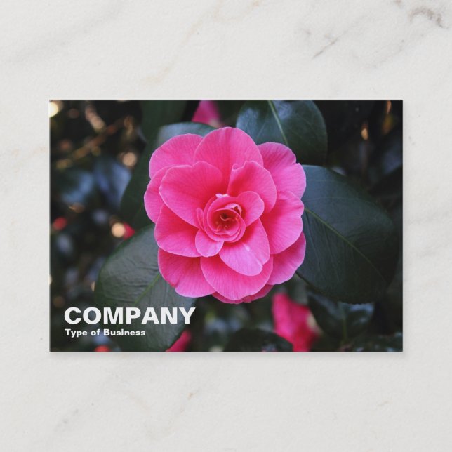 Rosa Camellia Visitkort (Framsida)