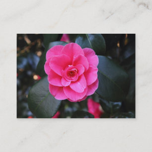 Rosa Camellia Visitkort