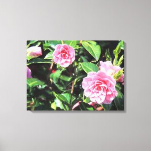 Rosa Camellias Digital Painting Canvas Wall Art