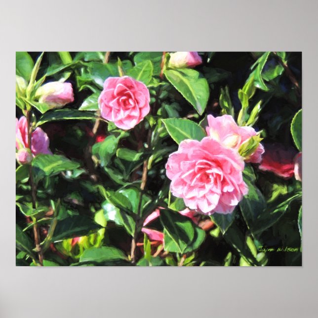 Rosa Camellias Digital Painting Wall Art Poster (Framsidan)