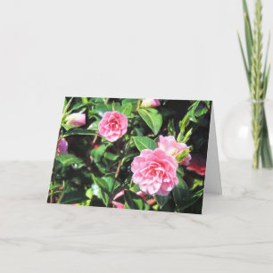 Rosa Camelliashälsningkort Kort