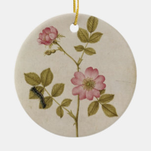 Rosa Canina - Dogrose och Caterpillar (rita & med Julgransprydnad Keramik