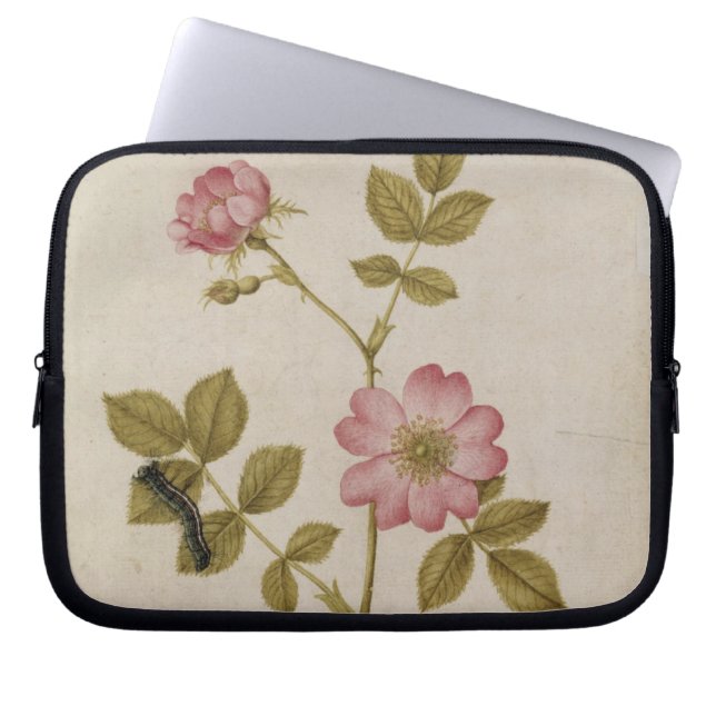 Rosa Canina - Dogrose och Caterpillar (rita & med Laptop Sleeve (Framsidan)