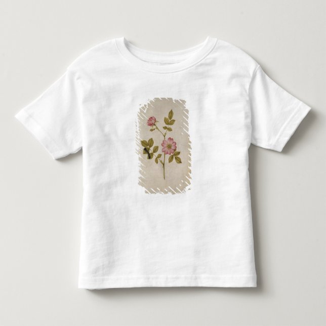 Rosa Canina - Dogrose och Caterpillar (rita & med T Shirt (Framsida)