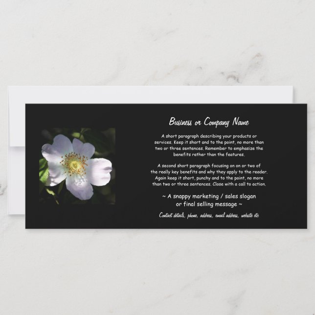 Rosa Canina - Hund Ro (Framsida)