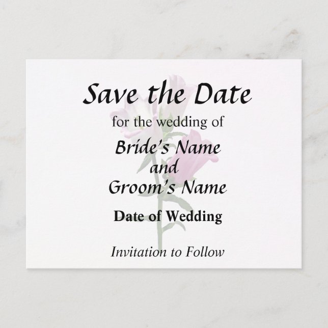 Rosa Canterbury Klockor Meddelande Vykort (Framsida)