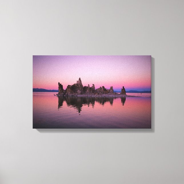 Rosa Canvastryck (Framsida)