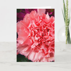 "Rosa Carnation 1." Kort för hälsning