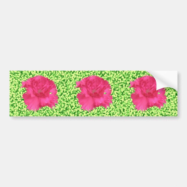 Rosa Carnation Bumper Sticker Bildekal (Framsidan)