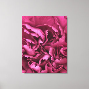 Rosa Carnation Canvastryck