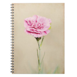Rosa Carnation Flower Art Journal Anteckningsbok