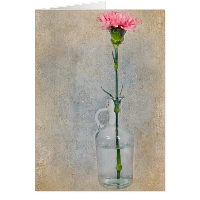 Rosa Carnation Hälsningskort (Framsidan)