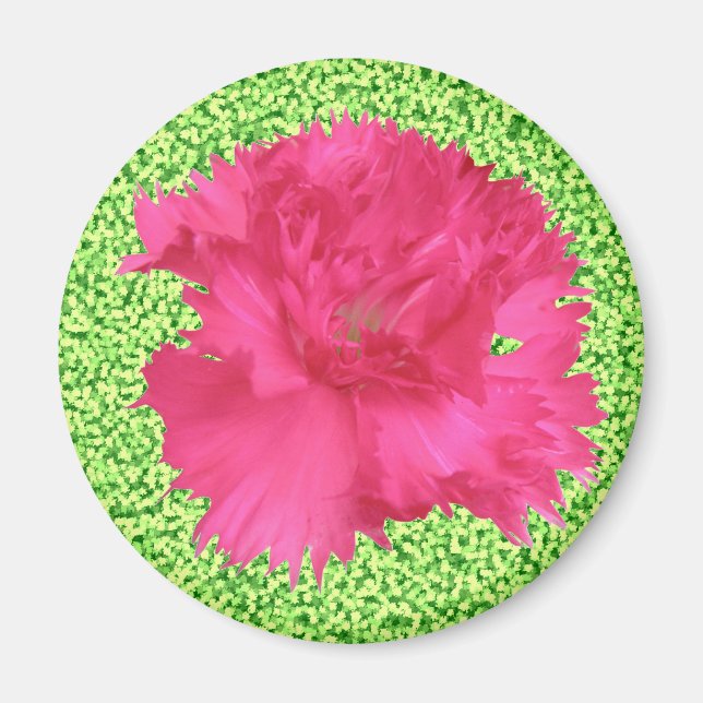 Rosa Carnation Magnet (Framsidan)