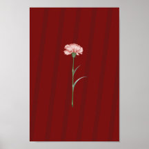 Rosa Carnation on Red - Romantic Aesthetic Poster
