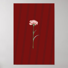 Rosa Carnation on Red - Romantic Aesthetic Poster