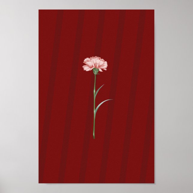 Rosa Carnation on Red - Romantic Aesthetic Poster (Framsidan)