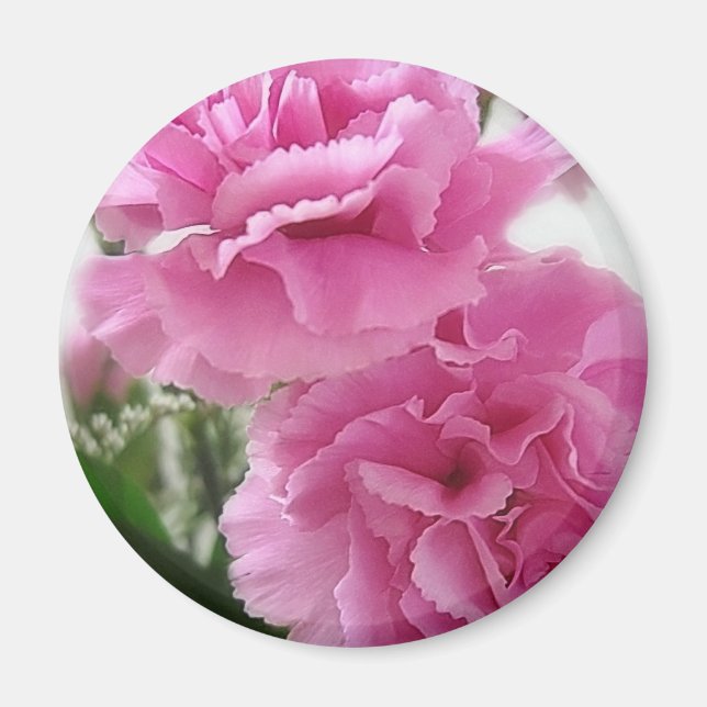 Rosa Carnations 1 Magnet (Framsidan)